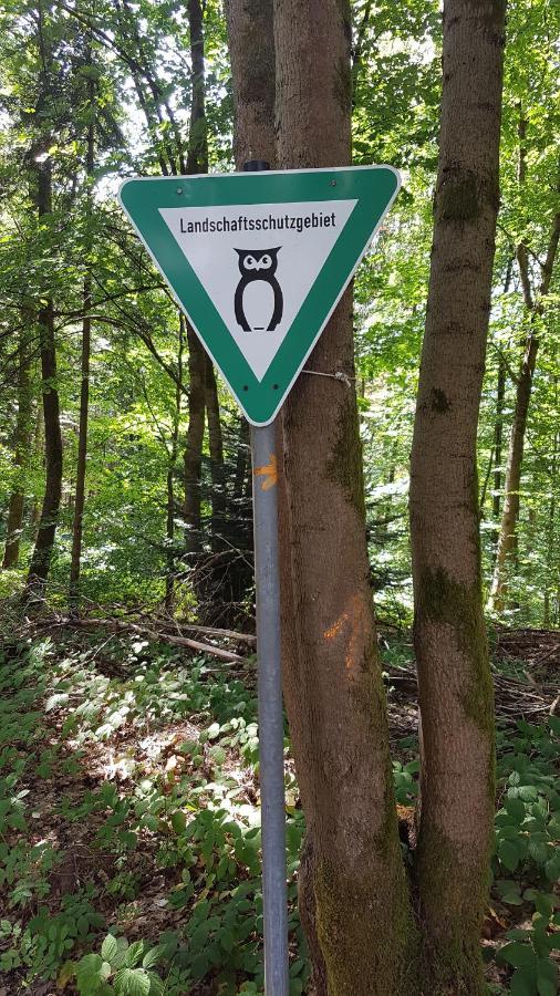 Schoener Weitblick Bad Sachsa Bagian luar foto