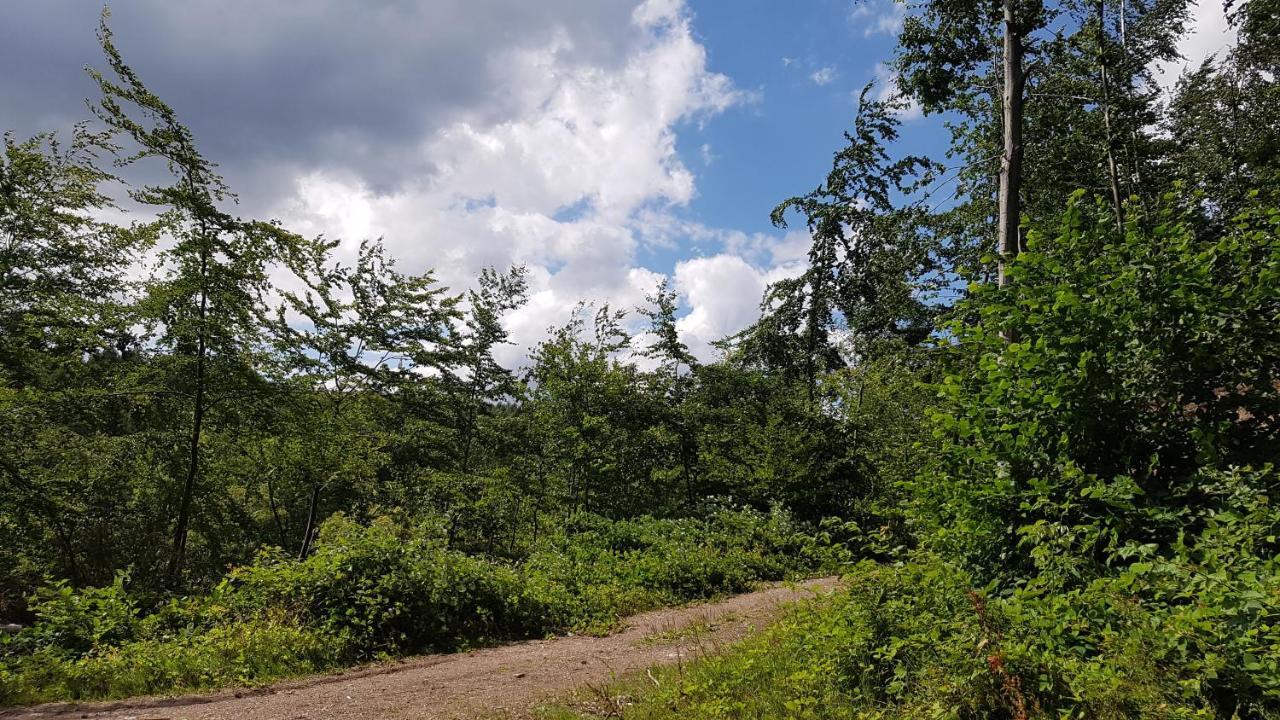 Schoener Weitblick Bad Sachsa Bagian luar foto