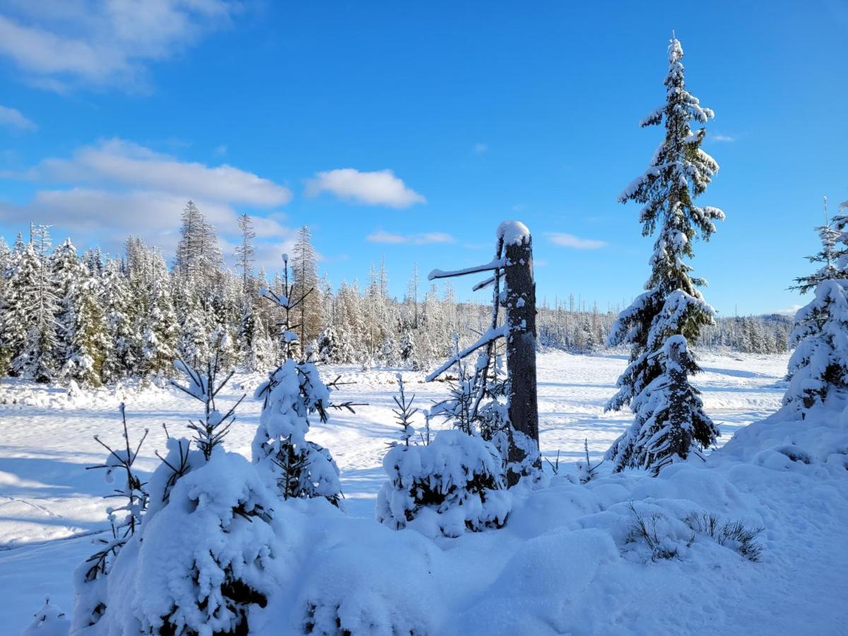 Schoener Weitblick Bad Sachsa Bagian luar foto