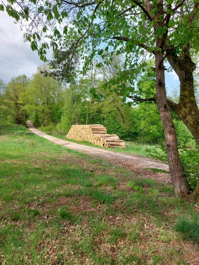 Schoener Weitblick Bad Sachsa Bagian luar foto